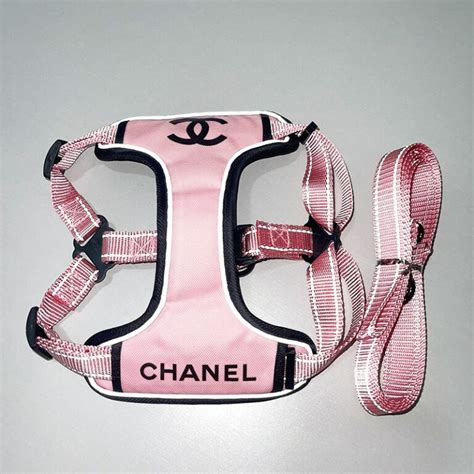 cheap chanel dog clothes|designer dog collars chanel.